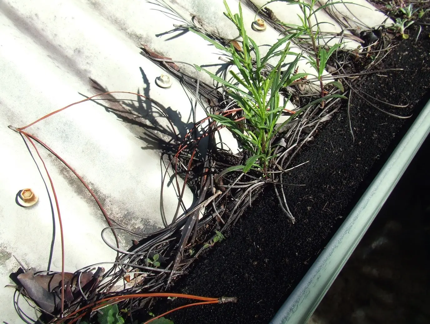 After gutter cleaning and inspection